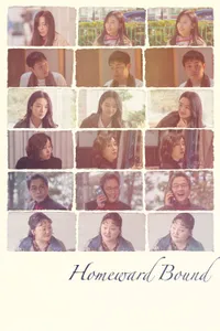 Homeward Bound izle