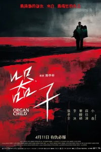 Qi zi - Kalpsiz izle