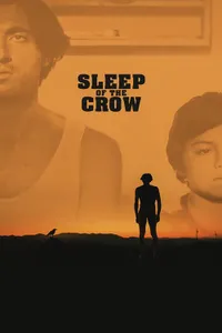 Karganın Uykusu izle