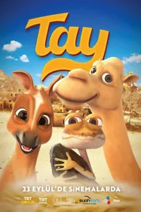 Tay izle