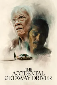 The Accidental Getaway Driver izle