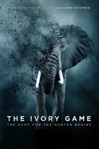Fildişi Oyunu izle