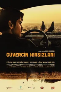 Güvercin Hırsızları izle