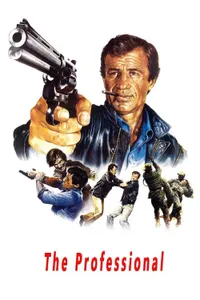 Profesyonel izle