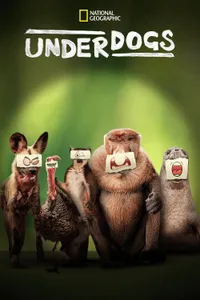 Underdogs izle