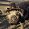 Bashi 'The Pig' filmleri