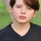Gavin Maddox Bergman filmleri
