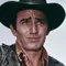 James Drury filmleri