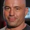 Joe Rogan filmleri