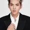 Kris Wu filmleri