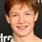 Levi Brandl filmleri