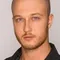 Matthew Scully filmleri