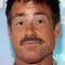 Peter Dante filmleri