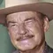 Ray Teal filmleri