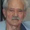 Robert F. Hoy filmleri