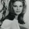Wende Wagner filmleri