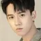 Zhang Yao filmleri