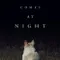Gece Gelen fragman izle
