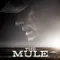 The Mule 2018 fragman izle