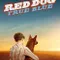 Red Dog True Blue fragman izle