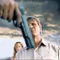Şiddetin Tarihçesi fragman izle
