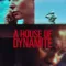 Dinamit Evi fragman izle