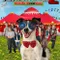 Robot Köpek Archie 2  fragman izle