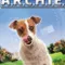 Robot Köpek Archie fragman izle