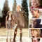 About Scout fragman izle