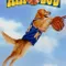 Sayı Kralı Buddy fragman izle