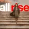 All Rise
