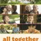 Et si on vivait tous ensemble ? fragman izle