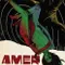 Amer fragman izle