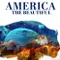 America the Beautiful