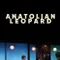 Anadolu Leoparı fragman izle