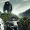 Ölüm Ormanı fragman izle