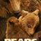 Ayılar fragman izle