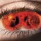Becoming fragman izle
