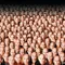 John Malkovich Olmak fragman izle