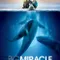 Büyük Mucize fragman izle