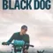 Black Dog fragman izle