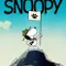 Camp Snoopy