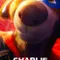Charlie The Wonderdog fragman izle