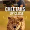 Cheetahs Up Close with Bertie Gregory fragman izle