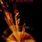 Çılgınlığın Ötesinde fragman izle