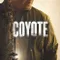 Coyote