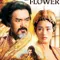 Altın Çiçeğin Laneti fragman izle