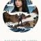 Decision to Leave fragman izle