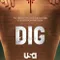 Dig