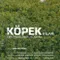 Köpek Filmi fragman izle